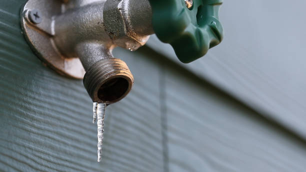 Best Plumbing Services Near Me  in Newville, PA